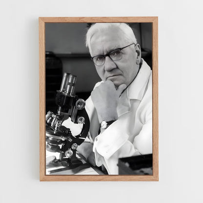 ap-alexander fleming-3 cadre Bois clair