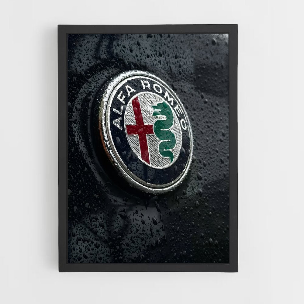 ap-alfa romeo-3 cadre Noir
