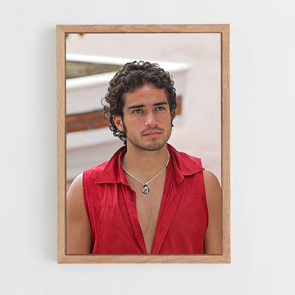 ap-alfonso herrera-9 cadre Bois clair