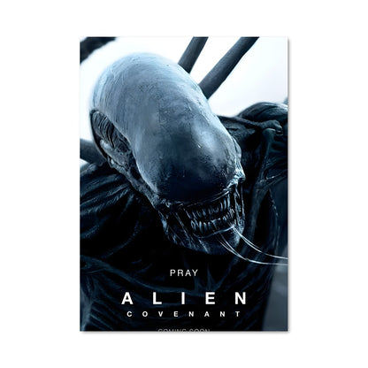 Poster Dans l'Ombre des Étoiles