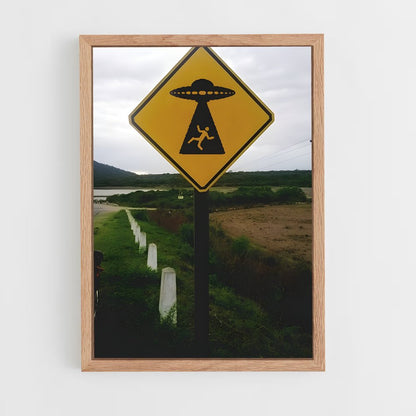 ap-alien abduction-6 cadre Bois clair