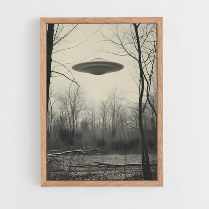 ap-aliens and ufo-10 cadre Bois clair