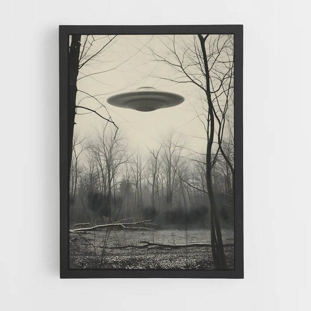 ap-aliens and ufo-10 cadre Noir
