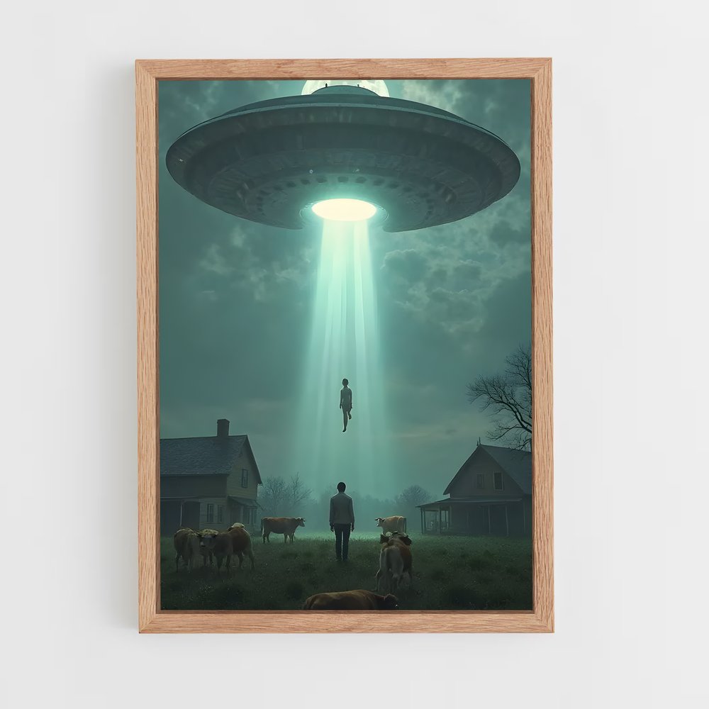 ap-aliens and ufo-13 cadre Bois clair