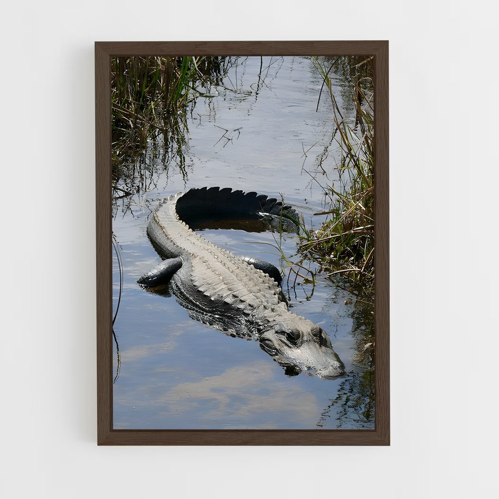 ap-alligator-4 cadre Bois foncé