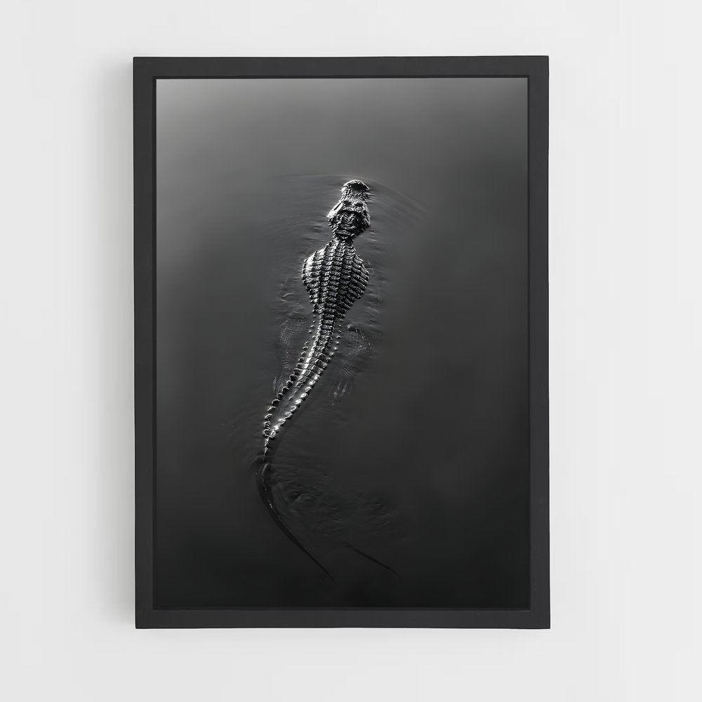 ap-alligator-8 cadre Noir