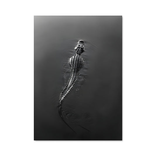 Poster Dans les Eaux Sauvages