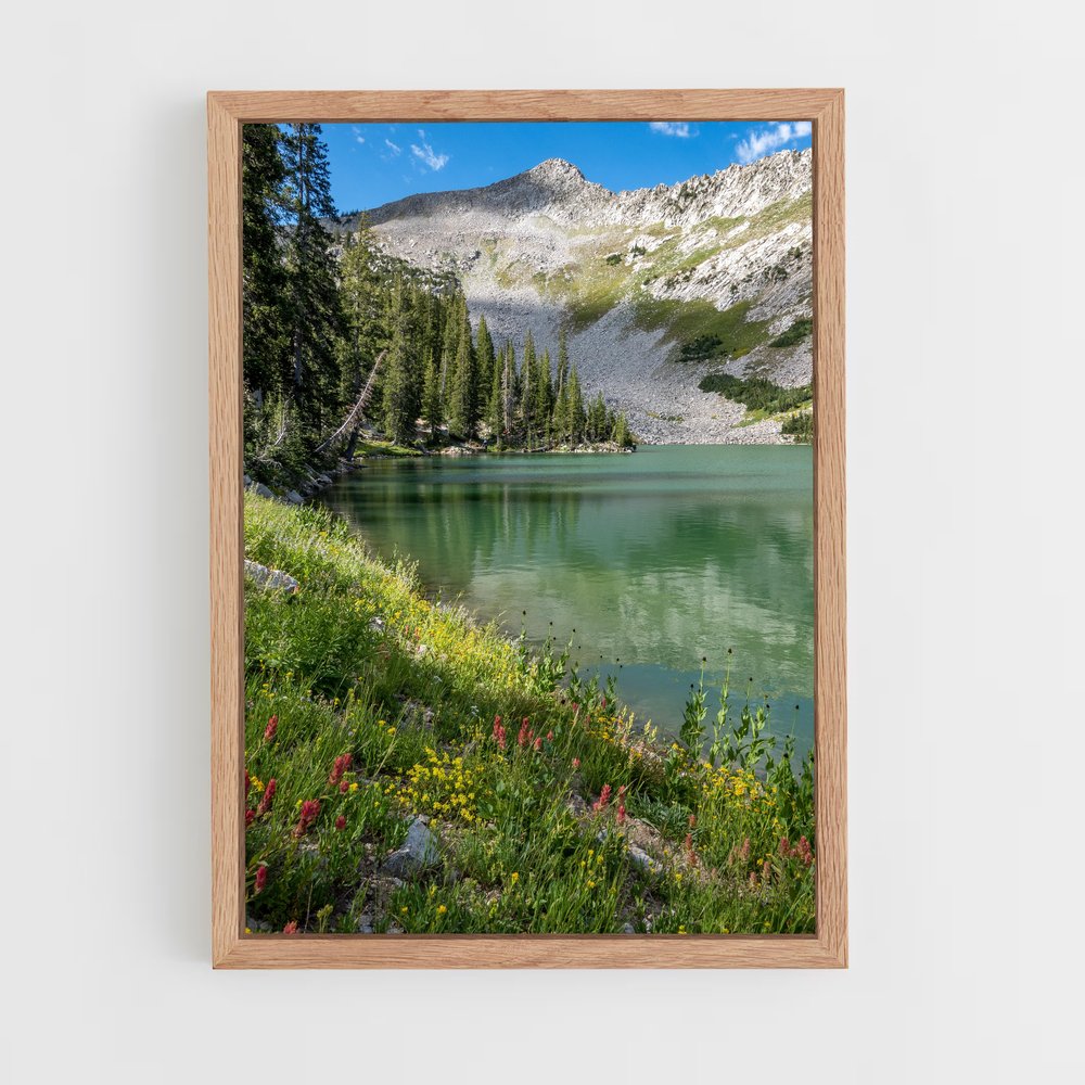ap-alpine lake-1 cadre Bois clair