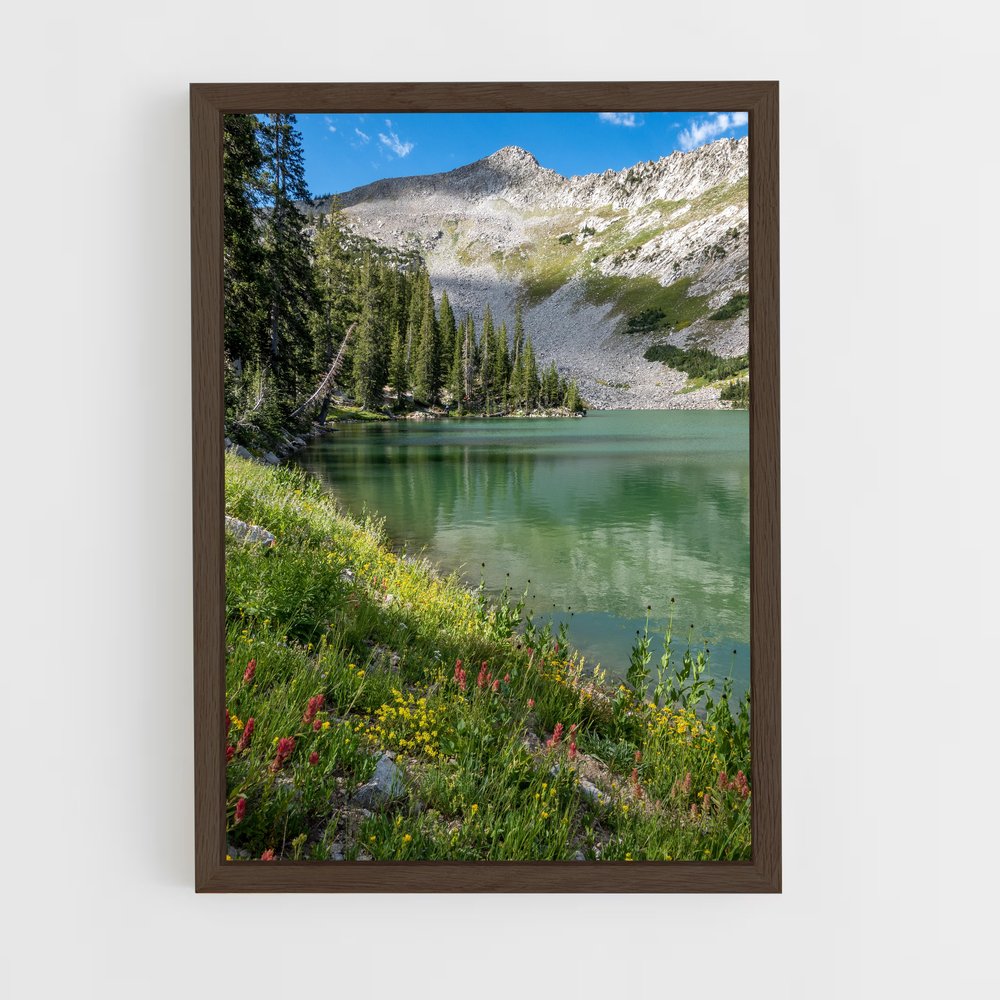 ap-alpine lake-1 cadre Bois foncé