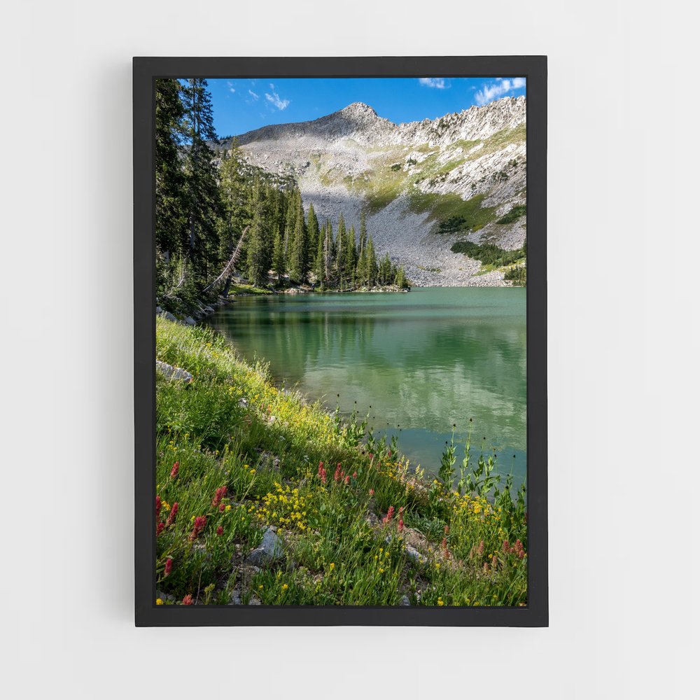 ap-alpine lake-1 cadre Noir