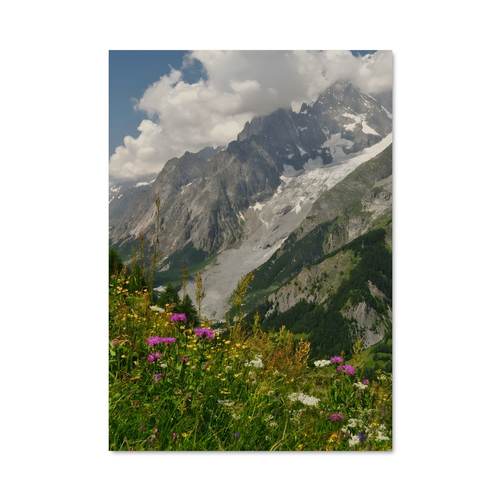 Poster Les Fleurs des Cimes