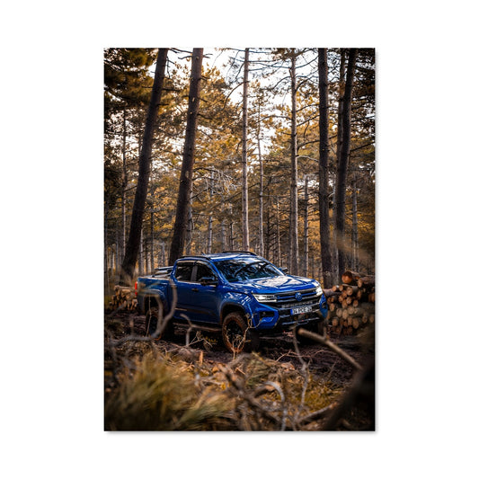 Poster Aventure Forestière