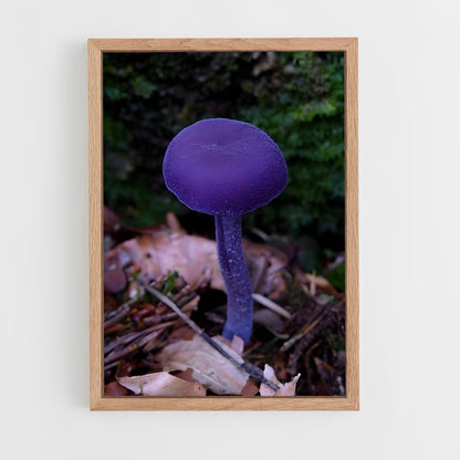 ap-amethyst deceiver-1 cadre Bois clair