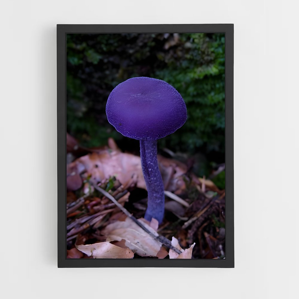 ap-amethyst deceiver-1 cadre Noir