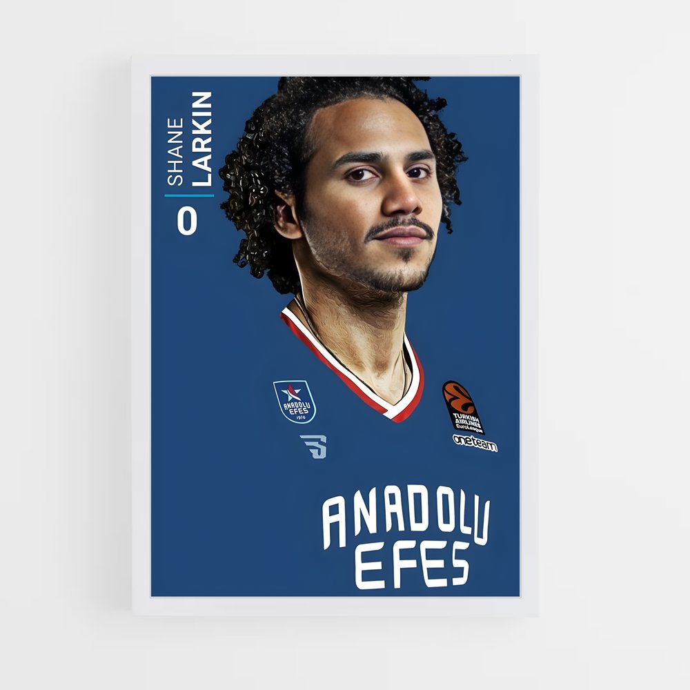 ap-anadolu efes basketball-6 cadre Blanc