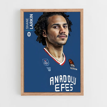 ap-anadolu efes basketball-6 cadre Bois clair