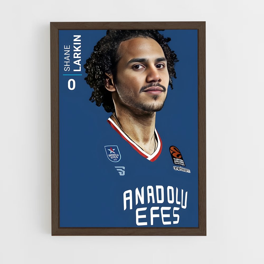 ap-anadolu efes basketball-6 cadre Bois foncé