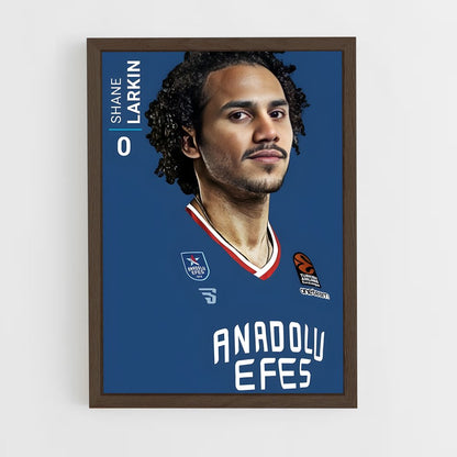 ap-anadolu efes basketball-6 cadre Bois foncé