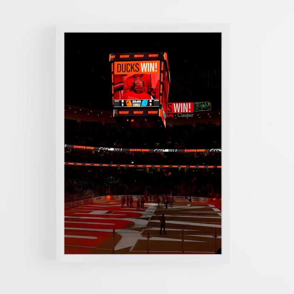 ap-anaheim ducks-6 cadre Blanc