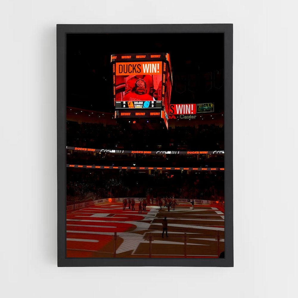 ap-anaheim ducks-6 cadre Noir