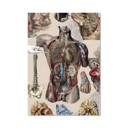 Poster Corps en Harmonie