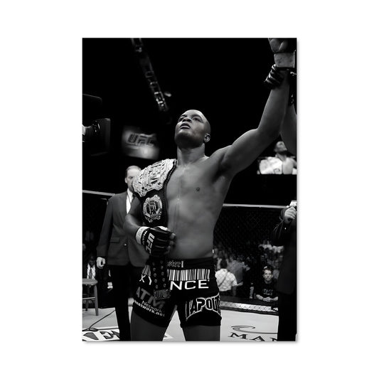 Poster Anderson silva 62030