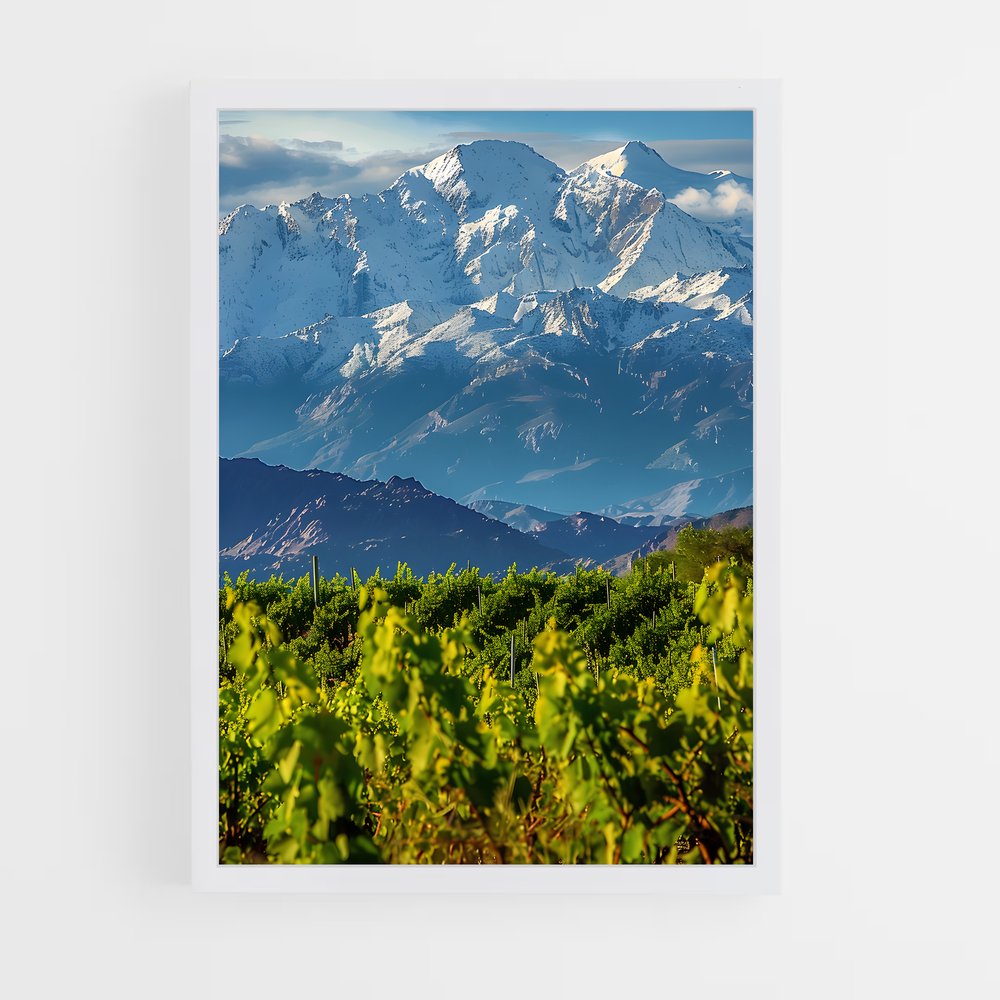 ap-andes mountains-11 cadre Blanc
