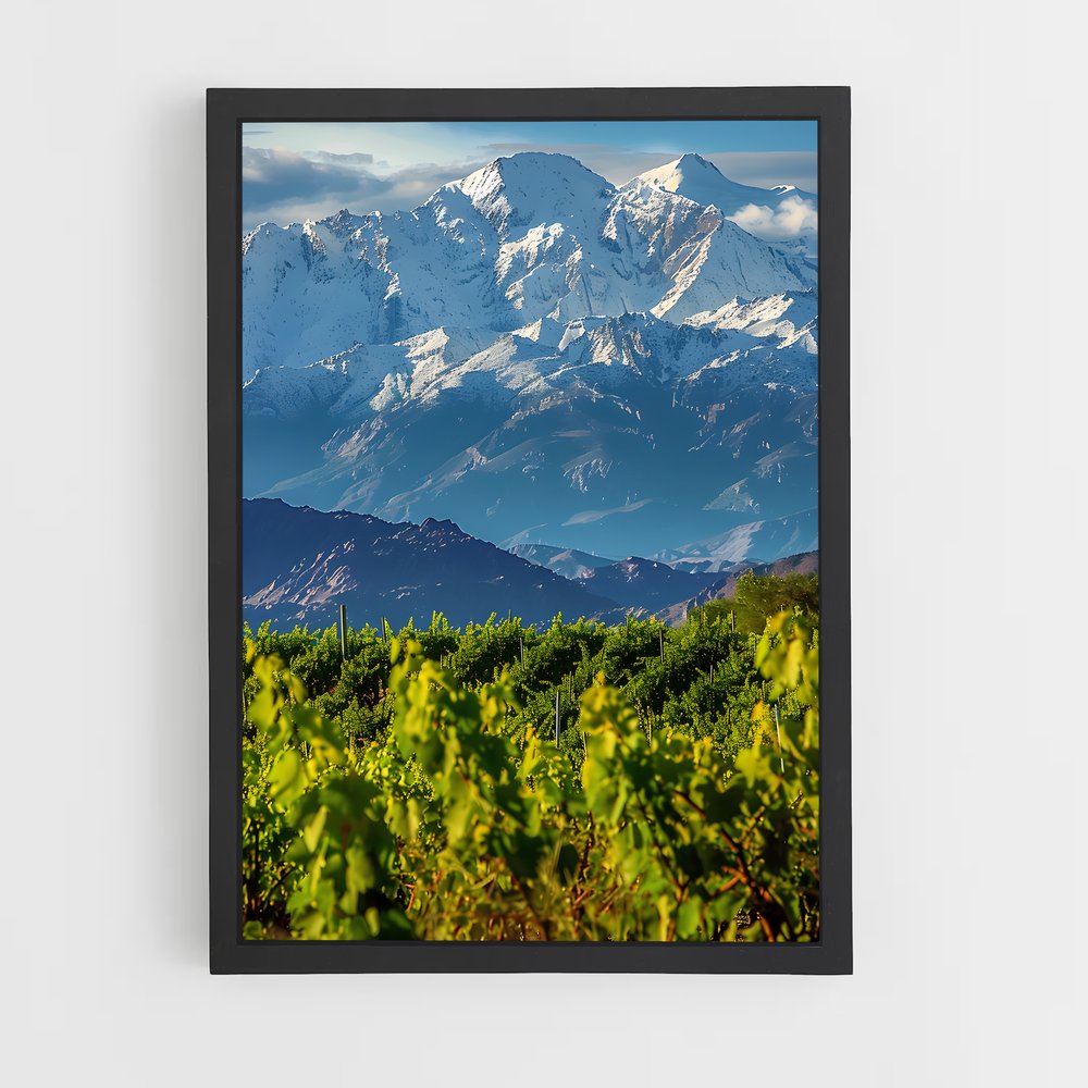 ap-andes mountains-11 cadre Noir