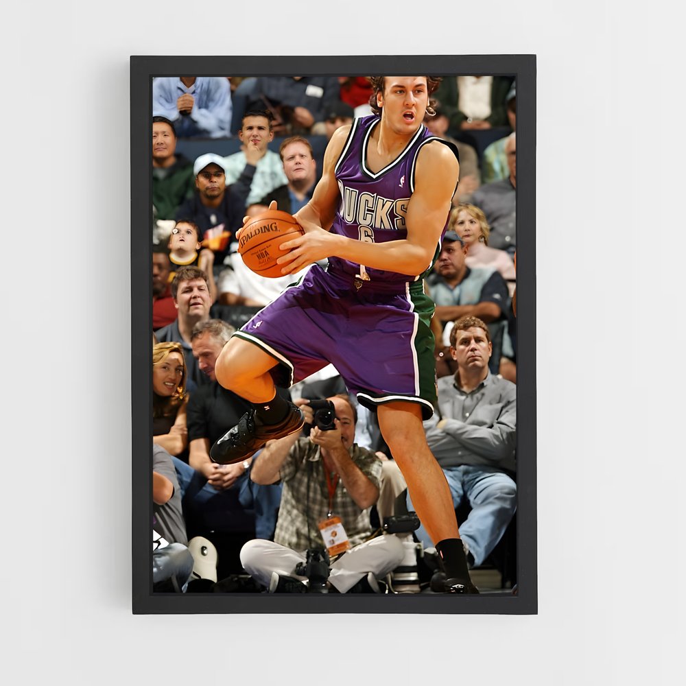 ap-andrew bogut-1 cadre Noir