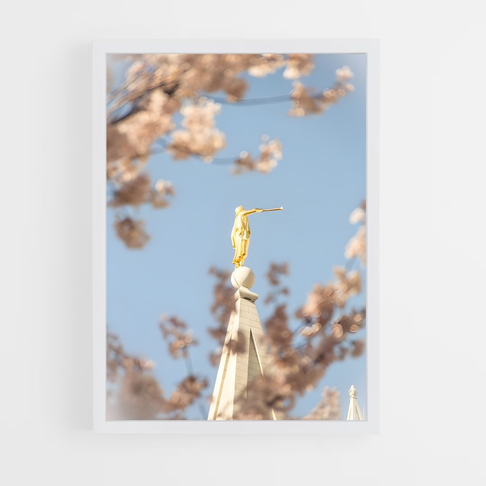 ap-angel moroni-3 cadre Blanc