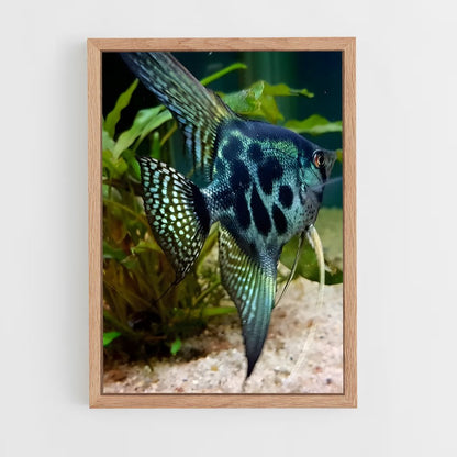 ap-angelfish-1 cadre Bois clair