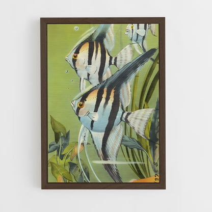 ap-angelfish-8 cadre Bois foncé