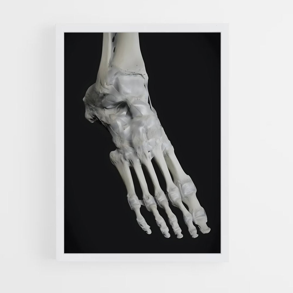 ap-ankle-1 cadre Blanc