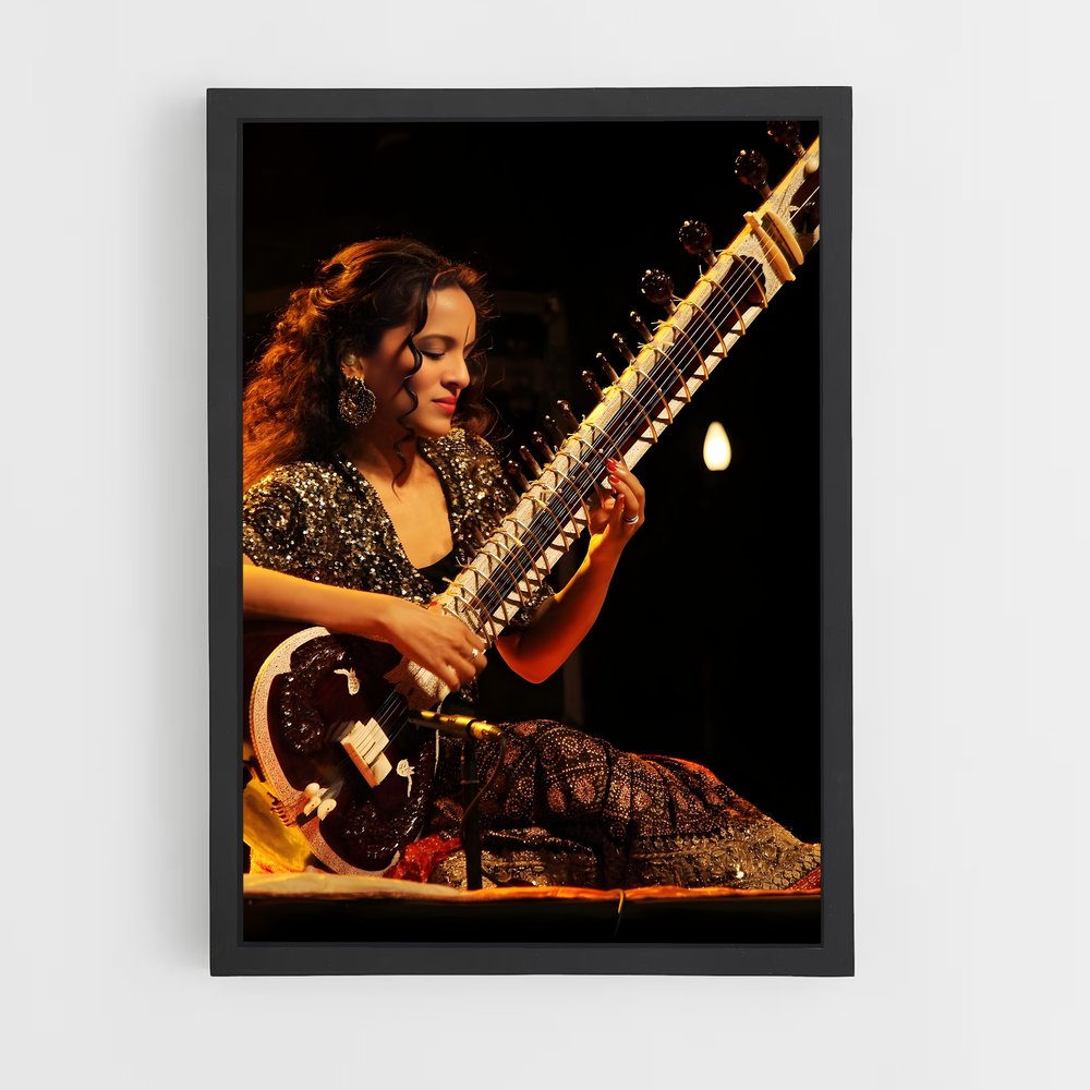ap-anoushka shankar-1 cadre Noir