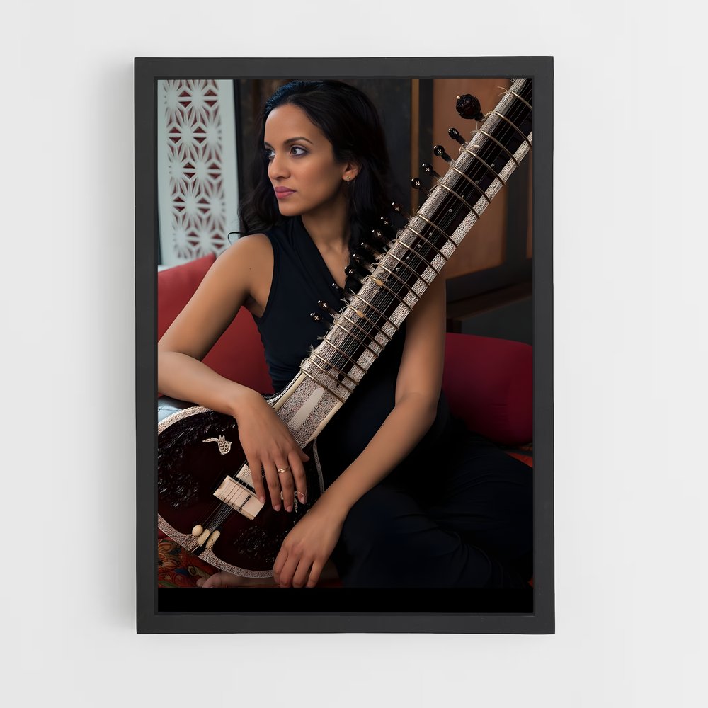 ap-anoushka shankar-2 cadre Noir