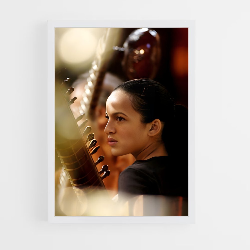 ap-anoushka shankar-4 cadre Blanc