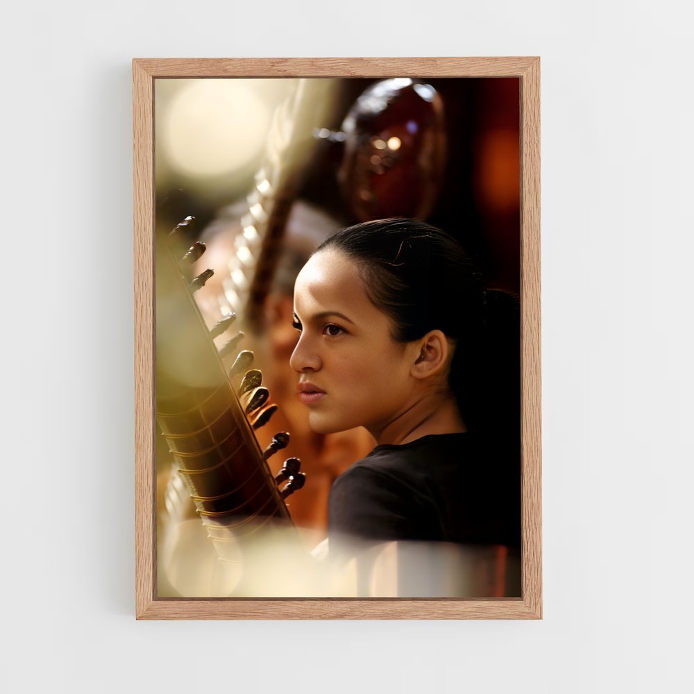 ap-anoushka shankar-4 cadre Bois clair
