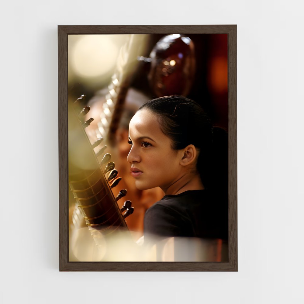 ap-anoushka shankar-4 cadre Bois foncé