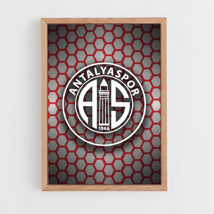 ap-antalyaspor-8 cadre Bois clair