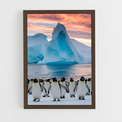 ap-antarctica-2 cadre Bois foncé