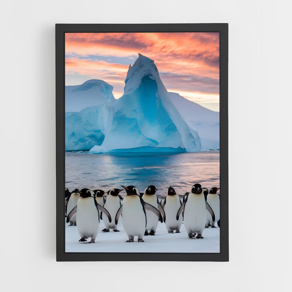ap-antarctica-2 cadre Noir
