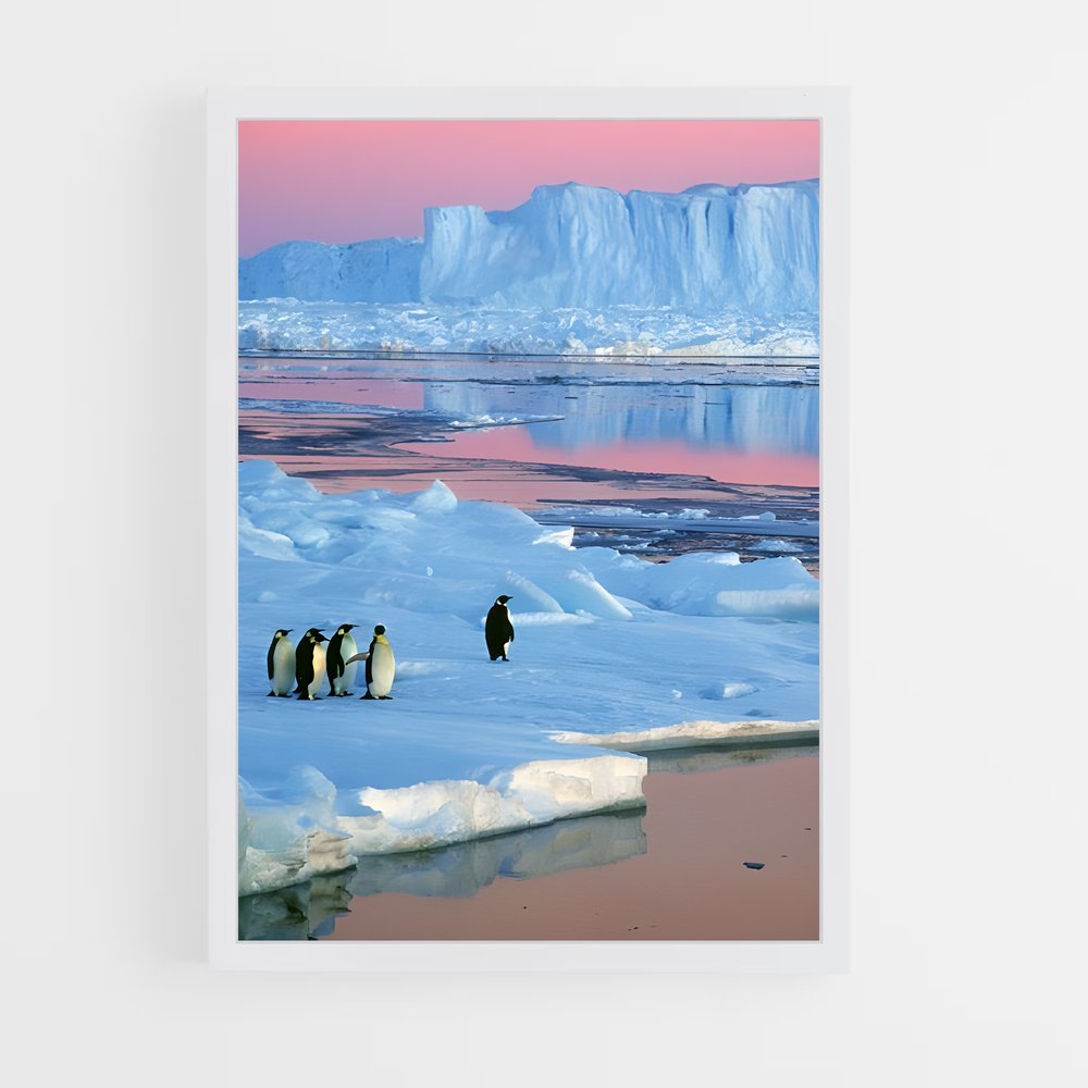 ap-antarctica-3 cadre Blanc