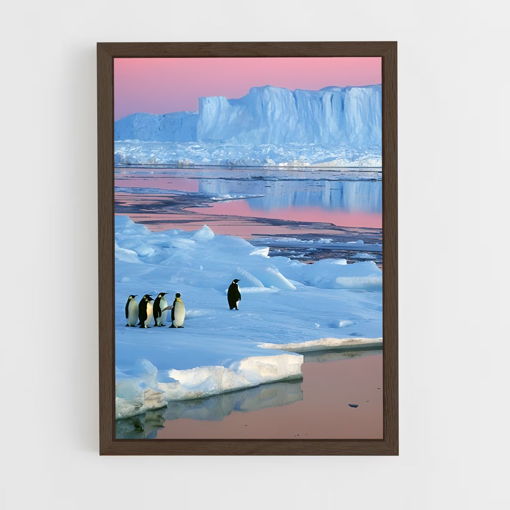 ap-antarctica-3 cadre Bois foncé