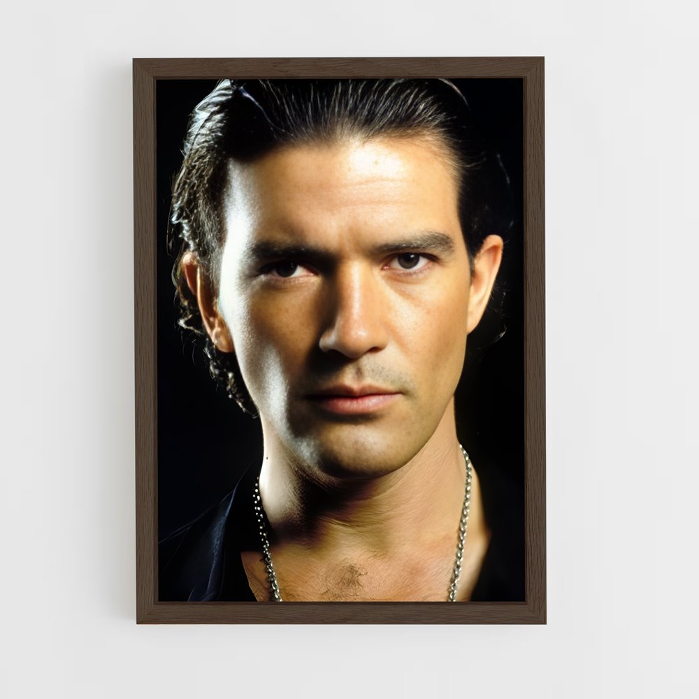 ap-antonio banderas-1 cadre Bois foncé