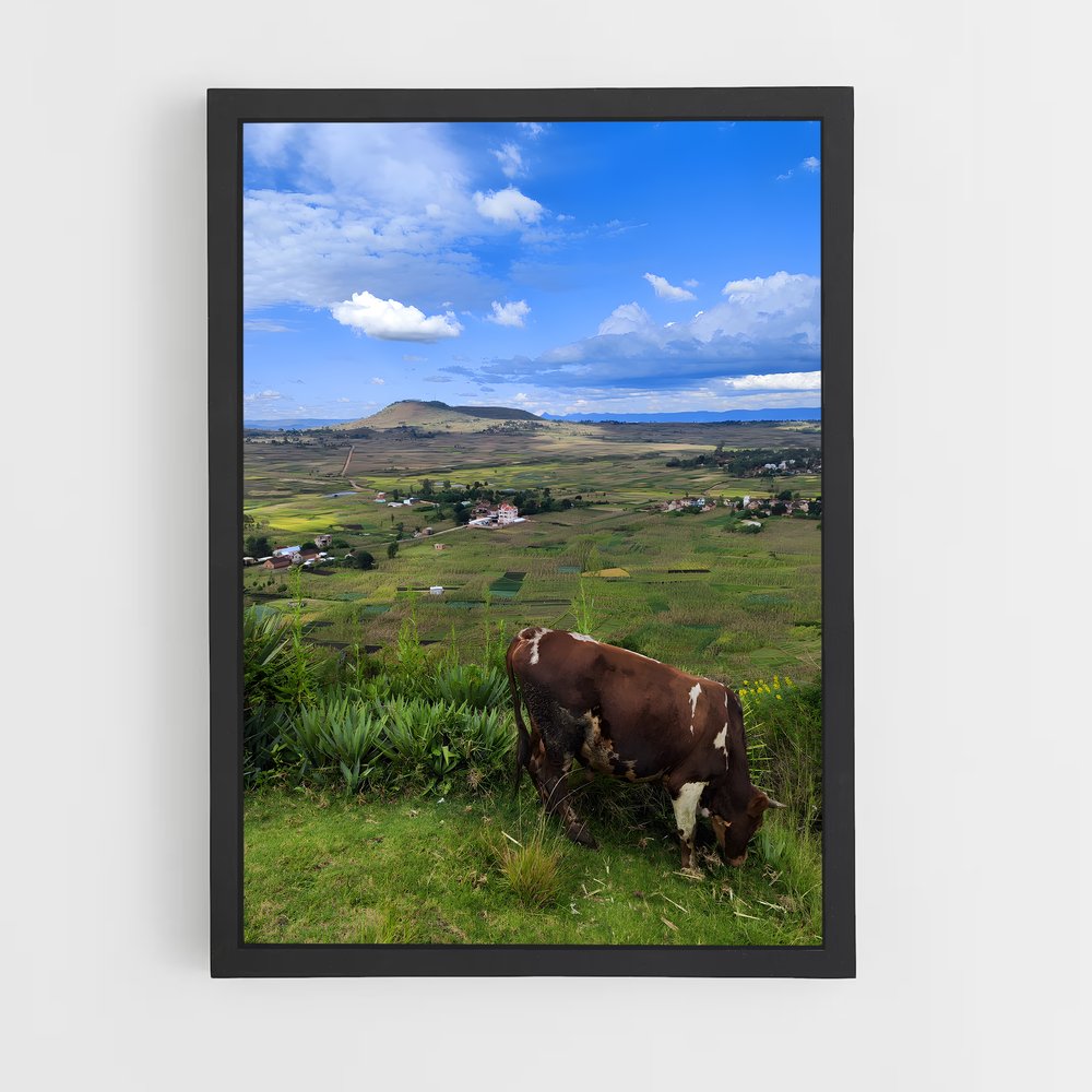 ap-antsirabe-3 cadre Noir