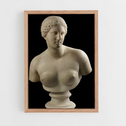 ap-aphrodite of knidos-3 cadre Bois clair