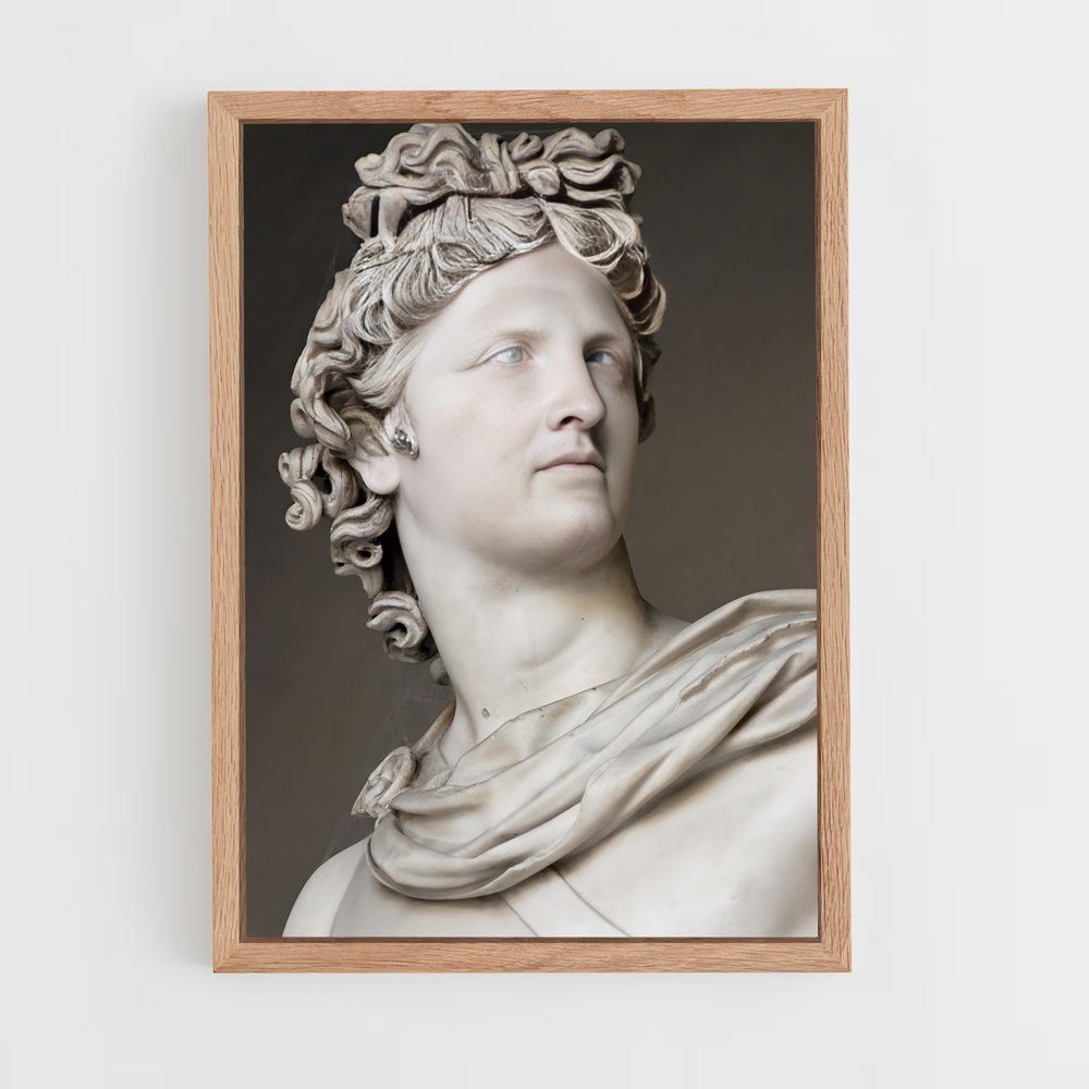 ap-apollo belvedere-1 cadre Bois clair