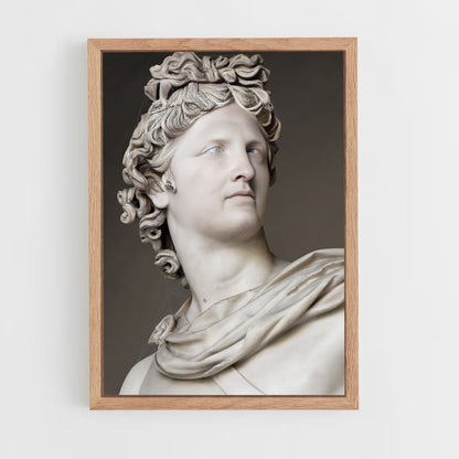 ap-apollo belvedere-1 cadre Bois clair