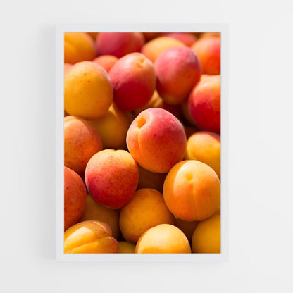ap-apricot-2 cadre Blanc