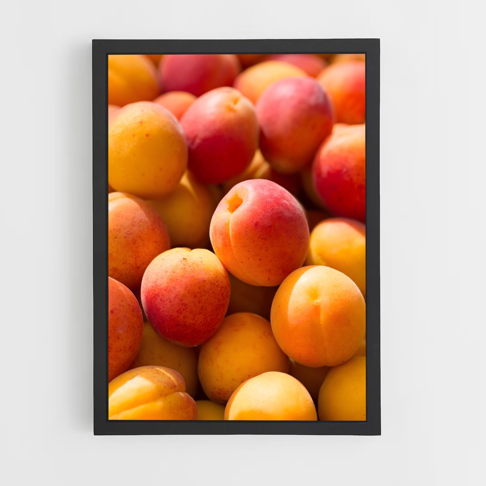 ap-apricot-2 cadre Noir